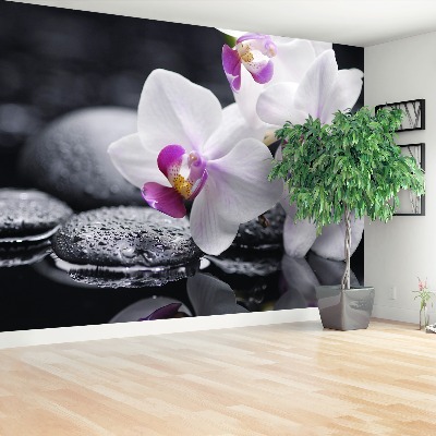 Fotomural Orquídea