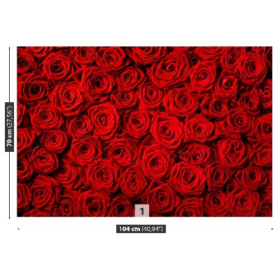 Fotomural Rosas rojas