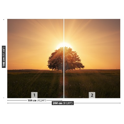 Fotomural Árbol amanecer