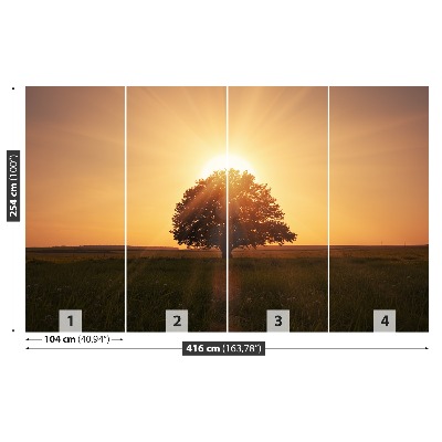 Fotomural Árbol amanecer