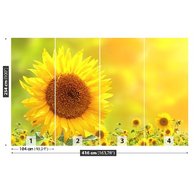 Fotomural Girasoles amarillos