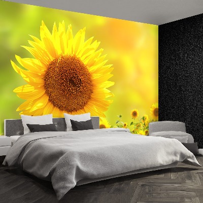 Fotomural Girasoles amarillos