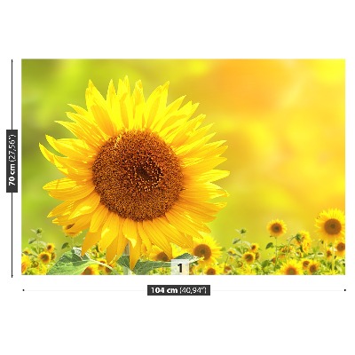 Fotomural Girasoles amarillos