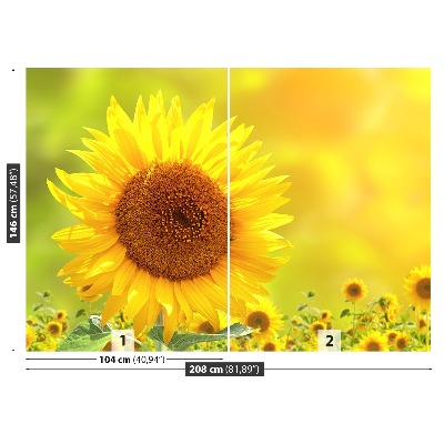 Fotomural Girasoles amarillos