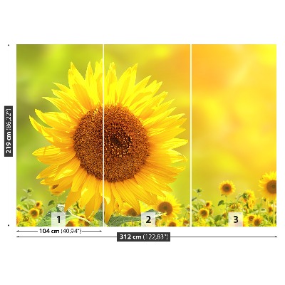 Fotomural Girasoles amarillos