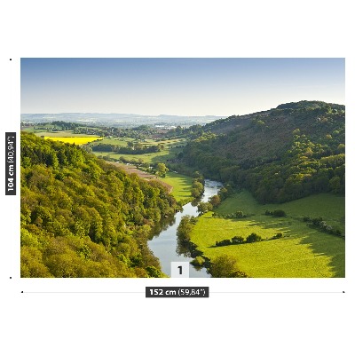 Fotomural Río con meandros