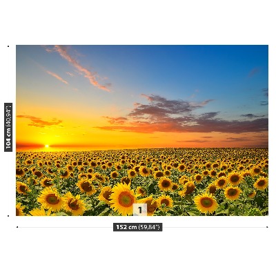 Fotomural Campo de girasoles