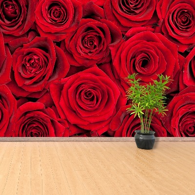 Fotomural Rosas rojas