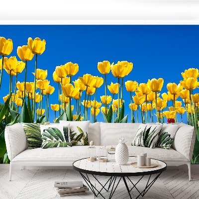 Fotomural Tulipanes flores