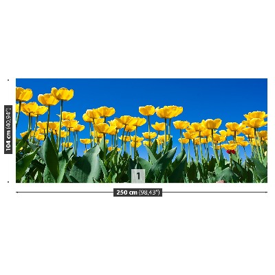 Fotomural Tulipanes flores