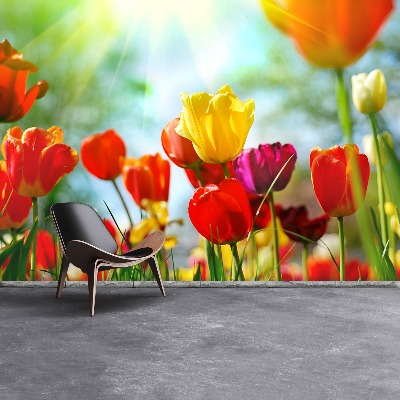 Fotomural Flores tulipanes