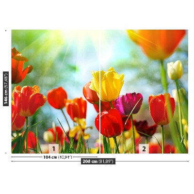 Fotomural Flores tulipanes