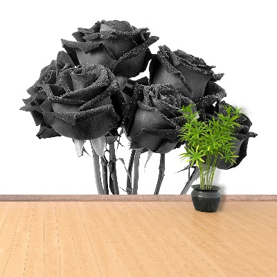 Fotomural Rosas negras