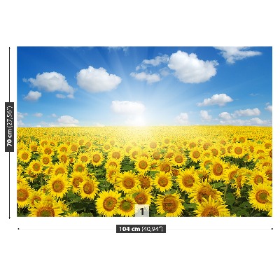 Fotomural Campos de girasoles