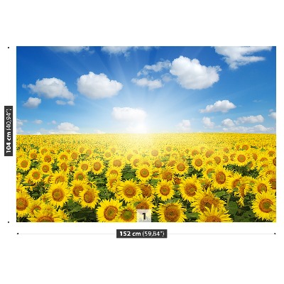 Fotomural Campos de girasoles