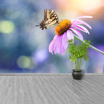 Fotomural Echinacea mariposa