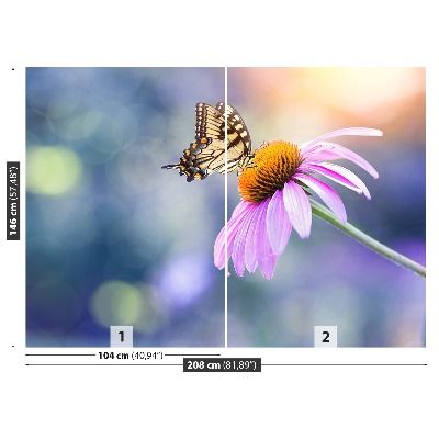 Fotomural Echinacea mariposa