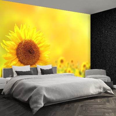 Fotomural Girasoles amarillos