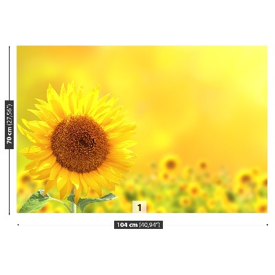 Fotomural Girasoles amarillos