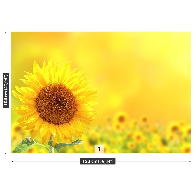 Fotomural Girasoles amarillos