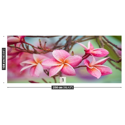 Fotomural Frangipani rosa