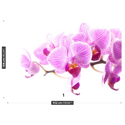 Fotomural Orquídea rosa