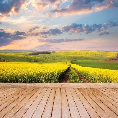 Fotomural Campos en flor