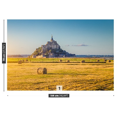 Fotomural Le mont saintmichel