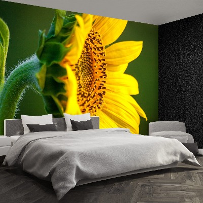 Fotomural Girasol