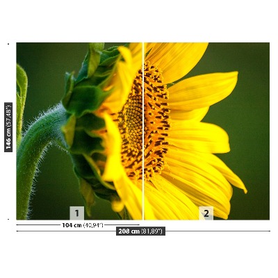 Fotomural Girasol