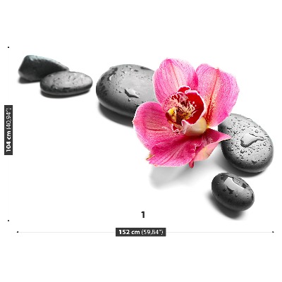 Fotomural Orquídea piedras