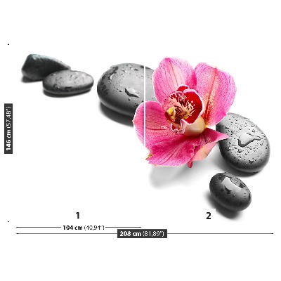 Fotomural Orquídea piedras