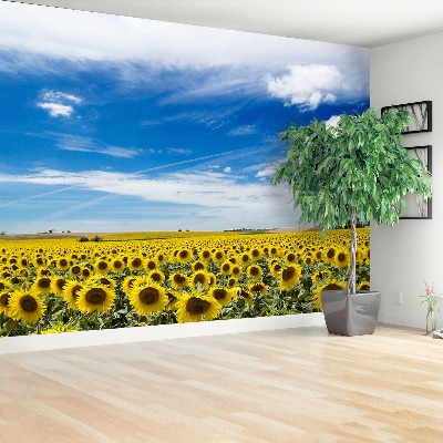 Fotomural Campo de girasoles