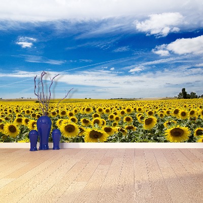 Fotomural Campo de girasoles