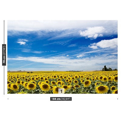 Fotomural Campo de girasoles