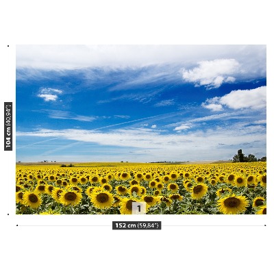 Fotomural Campo de girasoles