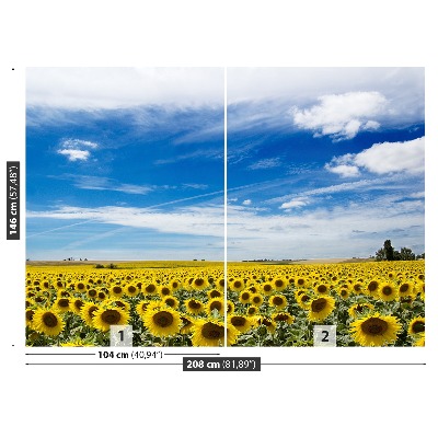 Fotomural Campo de girasoles