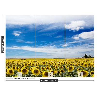 Fotomural Campo de girasoles