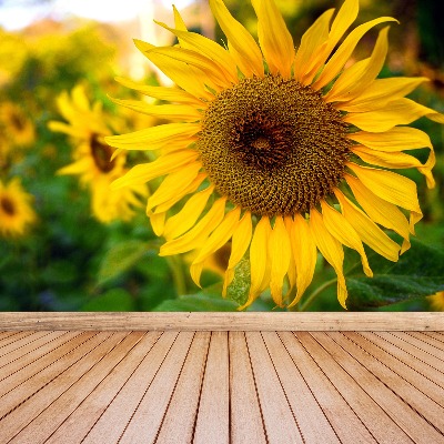 Fotomural Girasoles amarillas