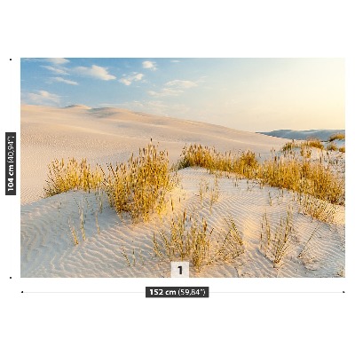 Fotomural Báltico dunas