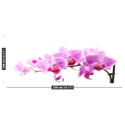 Fotomural Orquídea rosa