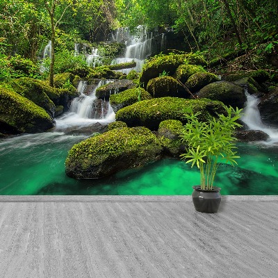 Fotomural Salto de agua en la jungla