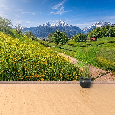 Fotomural Alpes idílicos