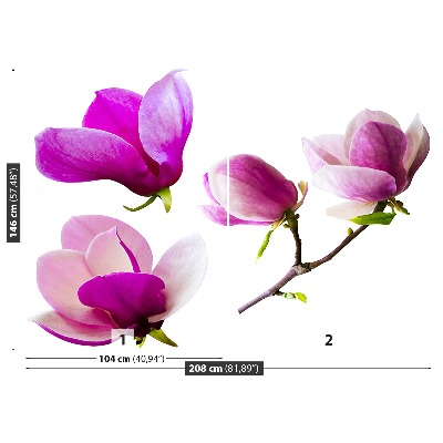 Fotomural Flores de magnolia