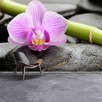 Fotomural Orquídea piedras