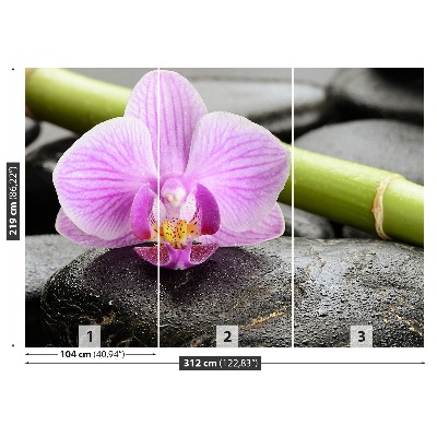 Fotomural Orquídea piedras