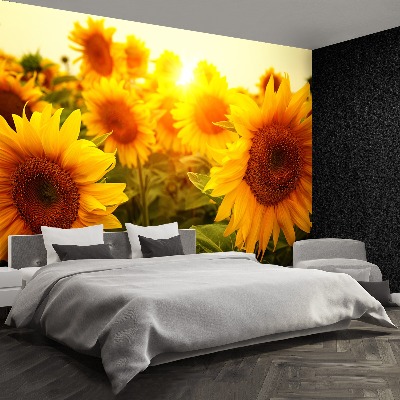 Fotomural Girasoles