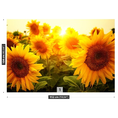 Fotomural Girasoles