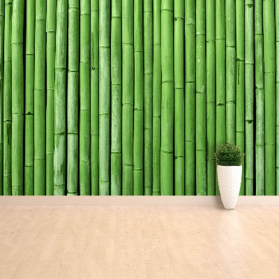 Fotomural Bambú verde