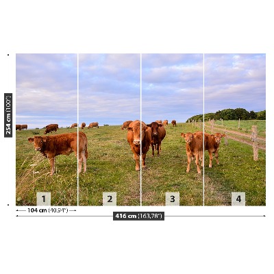Fotomural Vacas